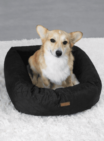 The Voyage Seat – 2-in-1 Convertible Car Bed