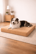 The Corduroy Mat